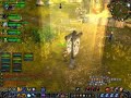 WoW Shaman 39lvl .. BG 30-39lvl