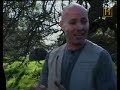 conquista armas de la prehistoria parte1/3