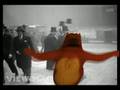 Colins Bear Animation Tribute