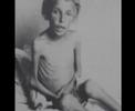 Nazismo - Auschwitz - Olocausto - Shoa