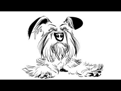 how to cure puppy breath