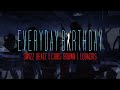 Swizz Beatz – Everyday Birthday (feat. Chris Brown & Ludacris)