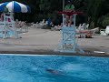 Lifeguaerd splash