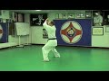 IDO GEIKO Kyokushin 6 Kyu & 5 Kyu 2/2 IDO GEIKO Kyokushin 6 Kyu & 5 Kyu 2/2