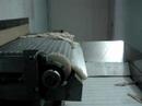 T�nel de Congelamento Autom�tico Espiral