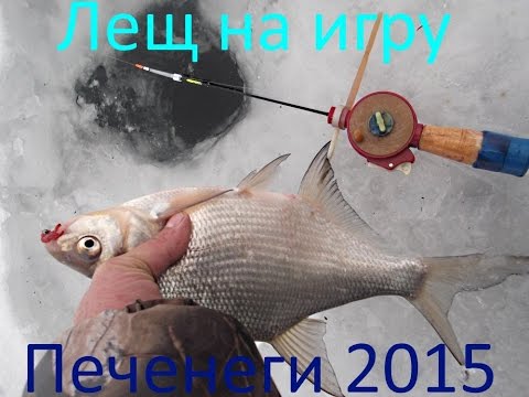 как понять что лещ клюет как понять что лещ клюет