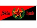SKINHEAD LIBERTARIOS (ANTIFASCISTAS SIEMPRE)