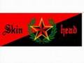 SKINHEAD LIBERTARIOS (ANTIFASCISTAS SIEMPRE)