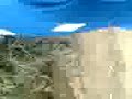 �ol
