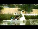 rap-a-dit-rapsodes.html