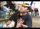 campur asal just for fun