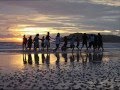 Circles In The Sun by Rick Bateman