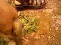 sincap video