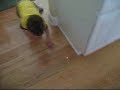 Kid Chasing a Laser Pointer - Funnier than a CAT!