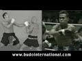 El golpe de codo es quizás el arma más temida por todos los profesionales de las Artes Marciales y los deportes de combate. Verdadera 