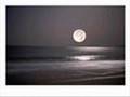 SANTO AND JOHNNY- "MOONLIGHT SERENADE"