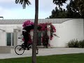 Pacific Beach BMX video