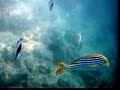 Promenade Aquatique Maldives Paradise Island Part3