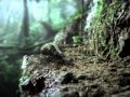 2012 Volkswagen Bettle American Super Bowl XLV Ad