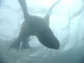 Puerto Madryn - Conscriptos