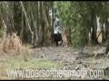 videos de The Guides Life Trailer