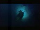 Rare Sea Creature in the Abysses TubeAsian.Com