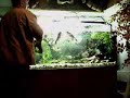 BIG VIEW PBASS FEEDING