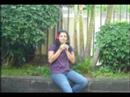 videos de 40 graus