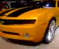 VERY RARE FOOTAGE OF THE ACTUAL \"BUBBLEBEE TRANSFORMERS\" VERY RARE FOOTAGE OF THE ACTUAL \"BUBBLEBEE TRANSFORMERS\"