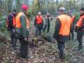 chasse des etangs - petit et gros gibier - chasse aux sangliers