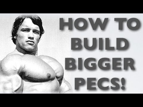 how to build chest muscle