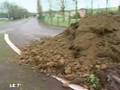 Angers : Blocus levé des éleveurs bovins