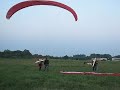 Nauka Latania Sz-n Dabie
