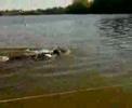 Jason Hoogenboom Swimming