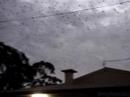 Chauve souris Chauve souris
