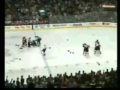 Hockey fight