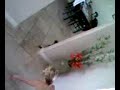 Chasing Daisy