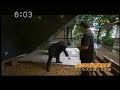 tatemono tanbou 0806 (1/3)