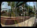 SKATE GERHARD OLLIE