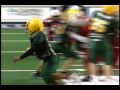 Youth Arena Football Leauge Youth Arena Football Leauge