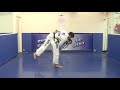 Hip Throw to Arm Bar From Renzo Gracie Academy