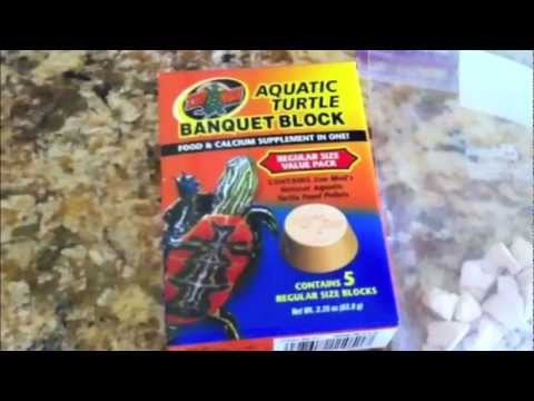 how to provide calcium for turtles