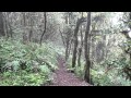 MVI_3835.MOV