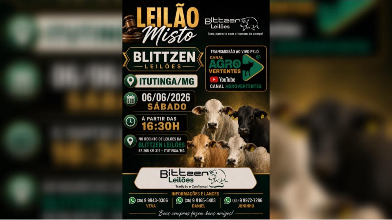 LEILÃO MISTO BLITTZEN LEILÕES  - ITUTINGA/MG - 06/06/2026