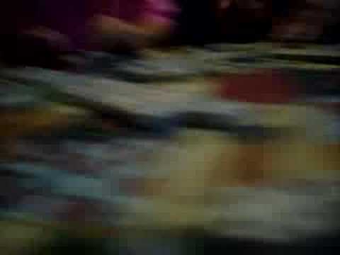 mexican train dominoes