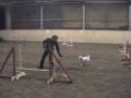 Training Steffi mit Tino 21.12.08