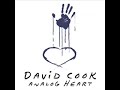 Porcelain- David Cook Porcelain- David Cook