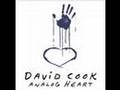 Porcelain- David Cook