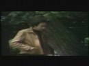 neil diamond   morningside
