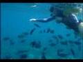 Ko'Olina Ocean Adventure